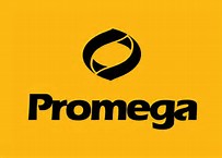 <p>
	Promega
</p>